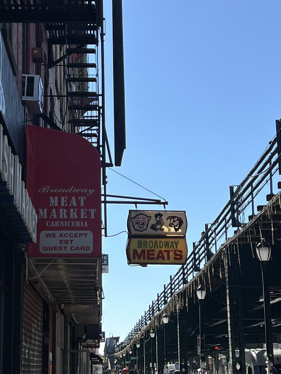 descartescaptor sakura 👻✨☄️ tweet media