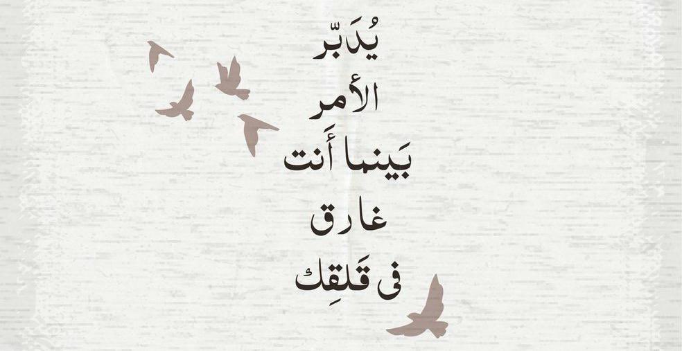 كل شيءٍ ينتظر وقته، كل شيءٍ قدّره الله بميعاد، لا وردة تتفتح قبل وقتها ولا شمس تشرق قبل حينها، الذي لكِ سيأتيك في الوقت المُقدَّر له 🦋🤍
الأسباب تنتهي الآن .. ألح ما استطعت

أنت صبرت كثير إياك ان تيأس، فقد تكون لحظة اليأس هي فعلاً لحظة الوصول، اطمّئن استُجيب، ولكنه يدبّر