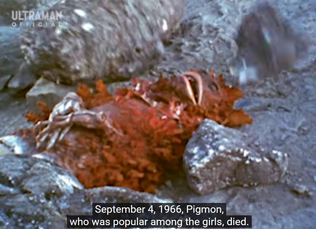 dila ❀ tweet media