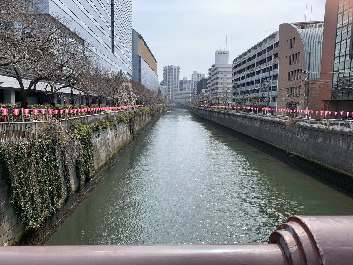 あっちゃん♪君が生きる意味 ON SALE! tweet media