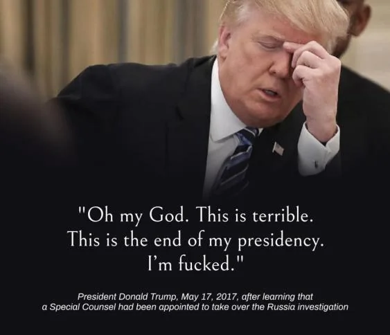 Molly Ploofkins tweet media