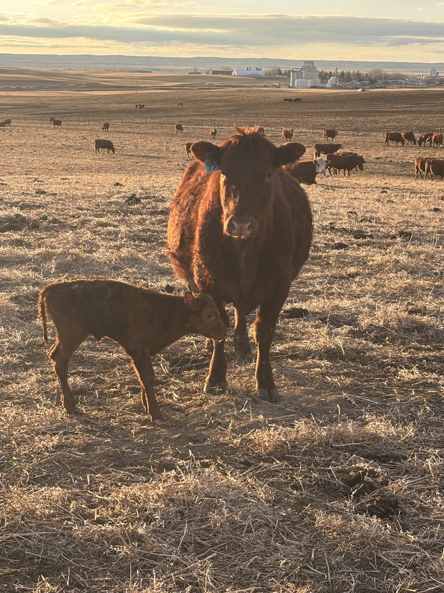 Kevin Booth tweet media