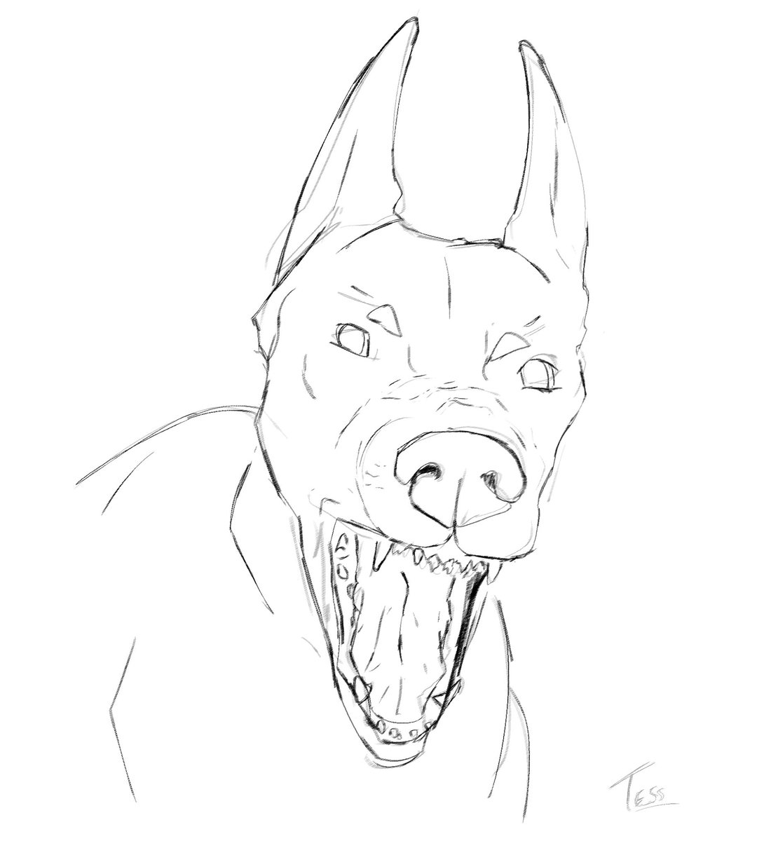 Zelkova ✧ 🇵🇸 tweet media