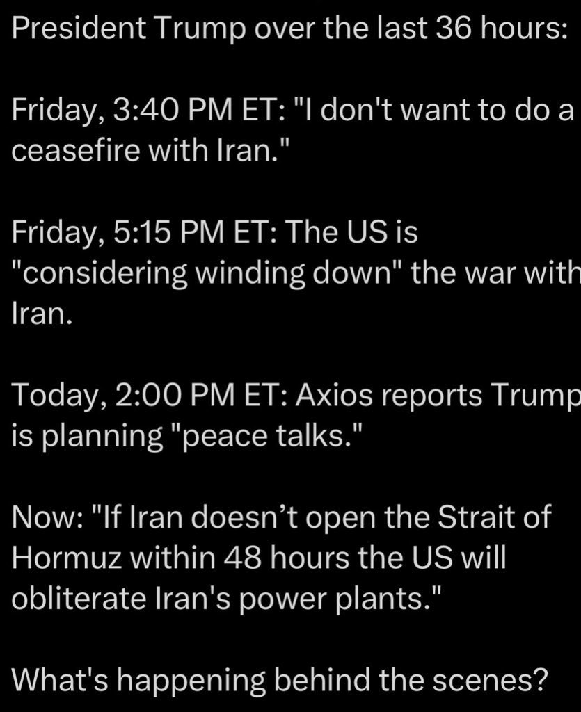 Paulie1776 ⓋET 🇺🇸 tweet media