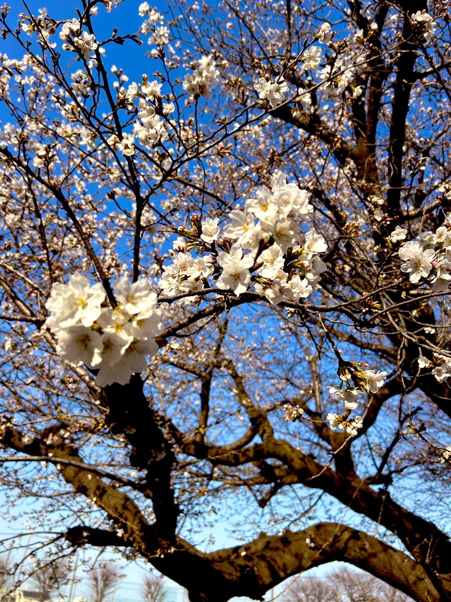 ひろみん tweet media