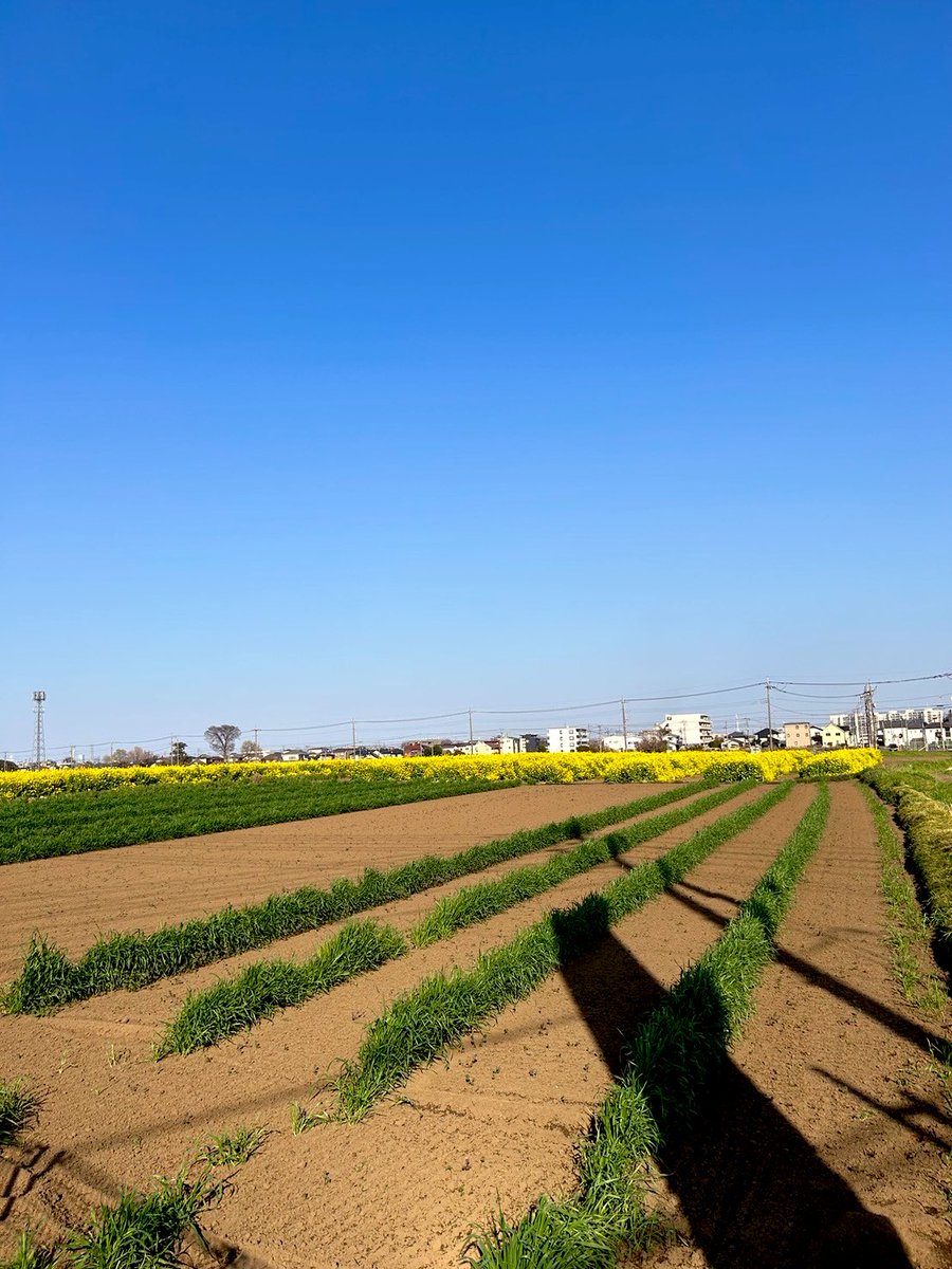 ひろみん tweet media