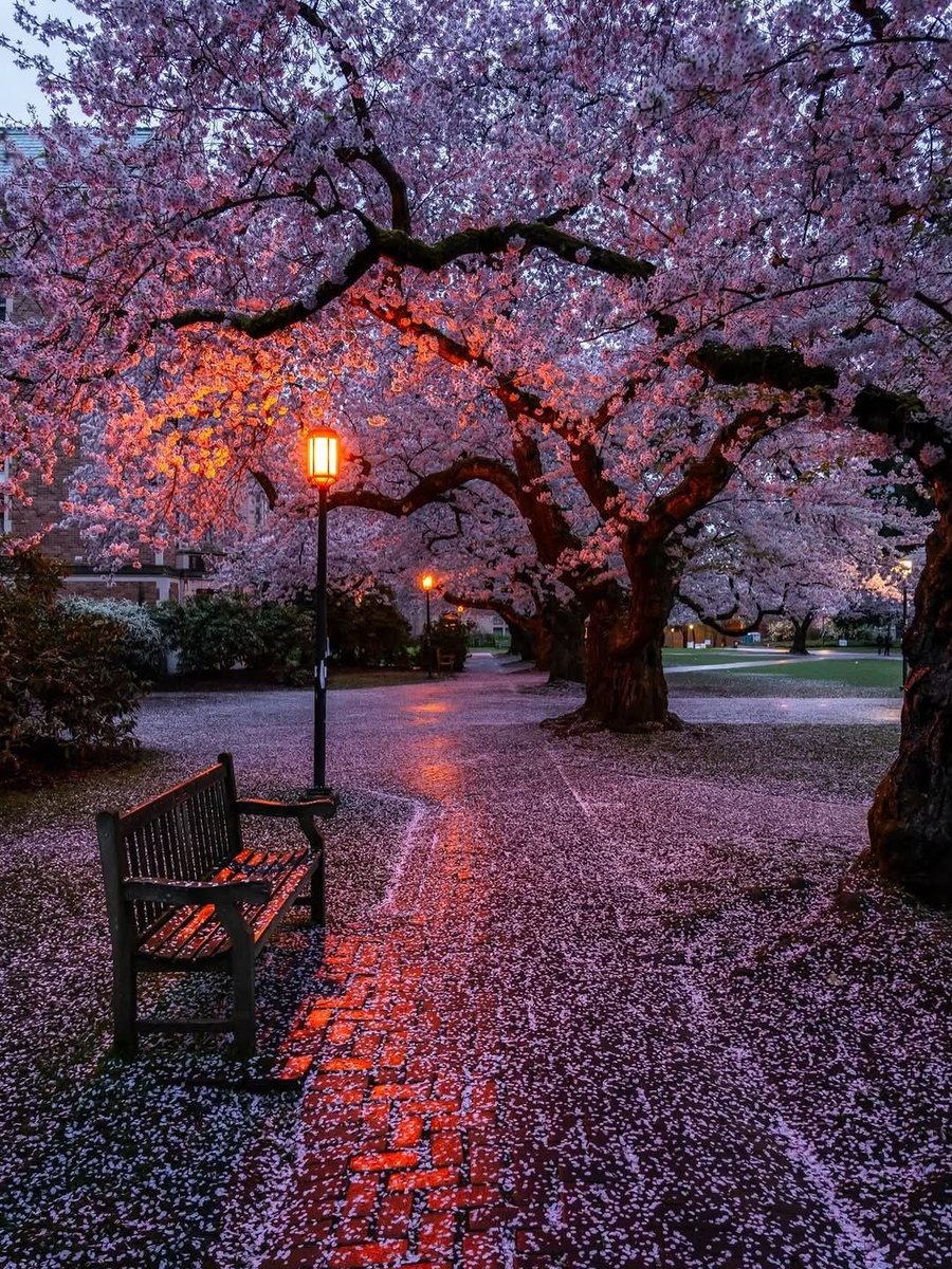 Nancy - Trevor Donovan Fan ⚜️ tweet media