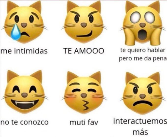 Luli✿V³ tweet media