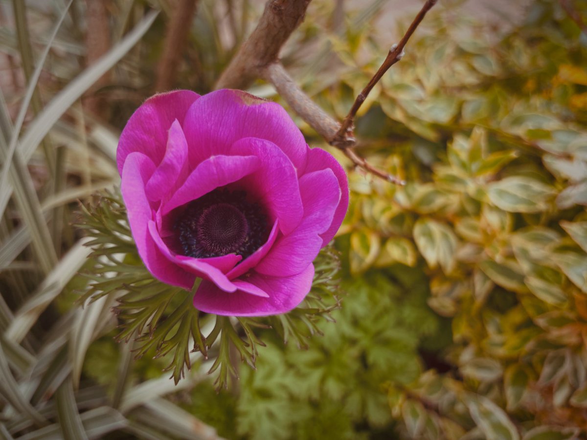 kukan effect tweet media