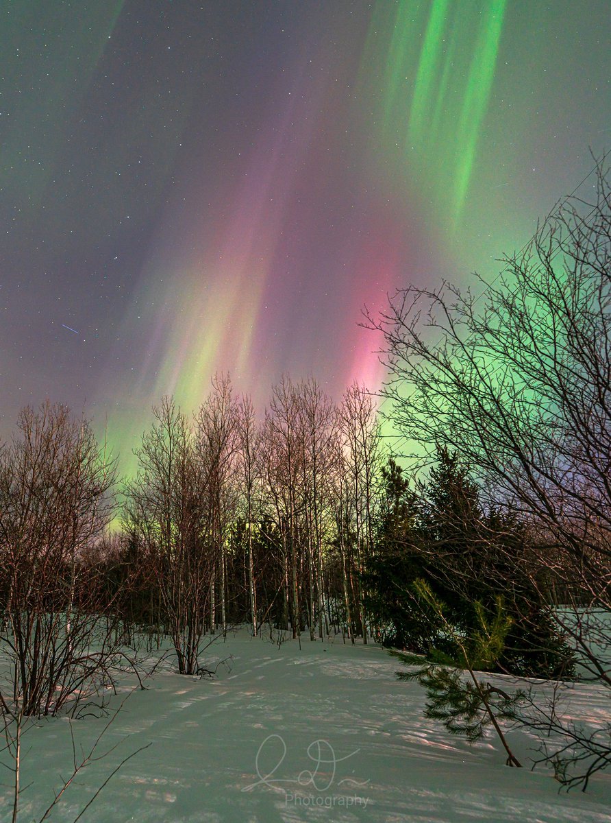 isaac📸 tweet media