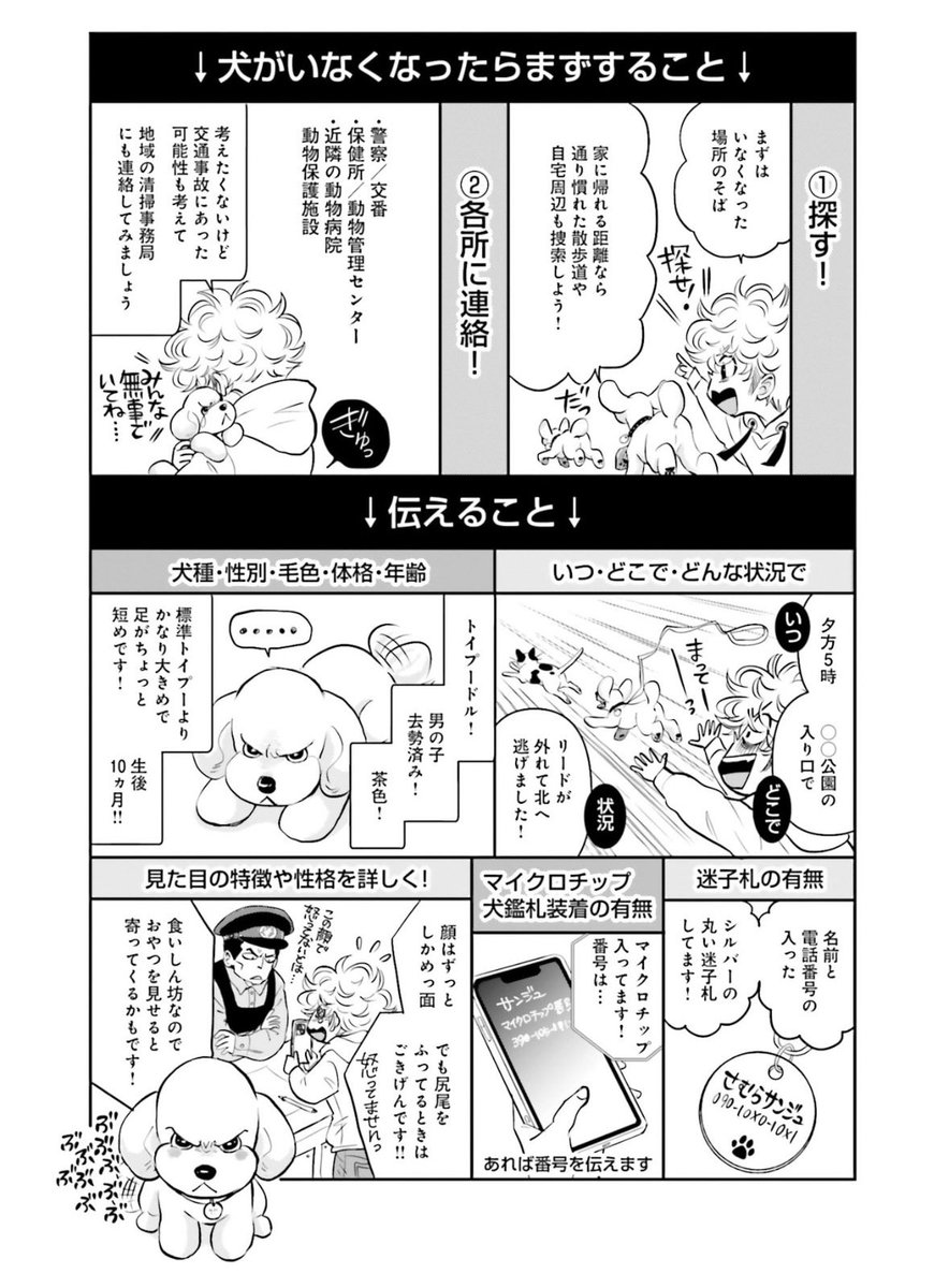 saya_miyauchi's tweet photo. 私も漫画に描きました。
大切な犬さんをひとりにさせないで下さい。
少しの間でも目を離さないでください。
犬を繋ぐポールがあるから安全だと勘違いしないでください。

散歩中にお買い物したい場合は２人以上で行って、誰か一緒に待ってあげてください🙏 https://t.co/sf0P3u9cAo