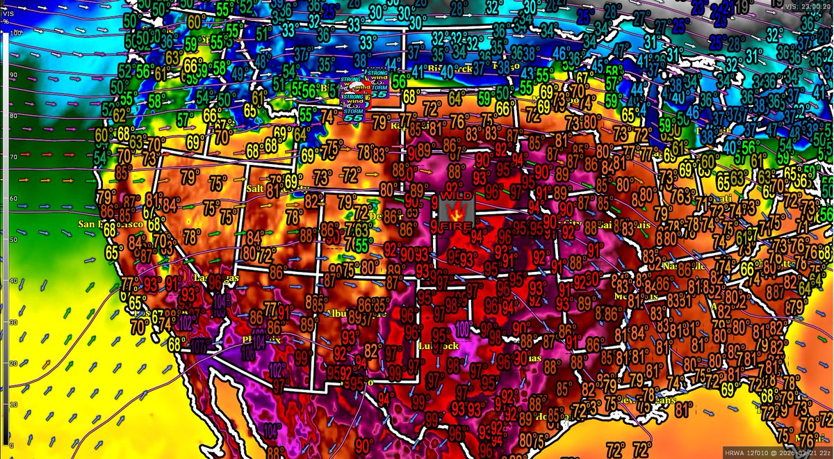 William Scherer tweet media