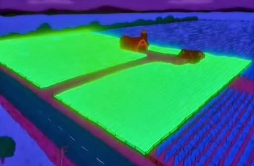 Crushes EC tweet media