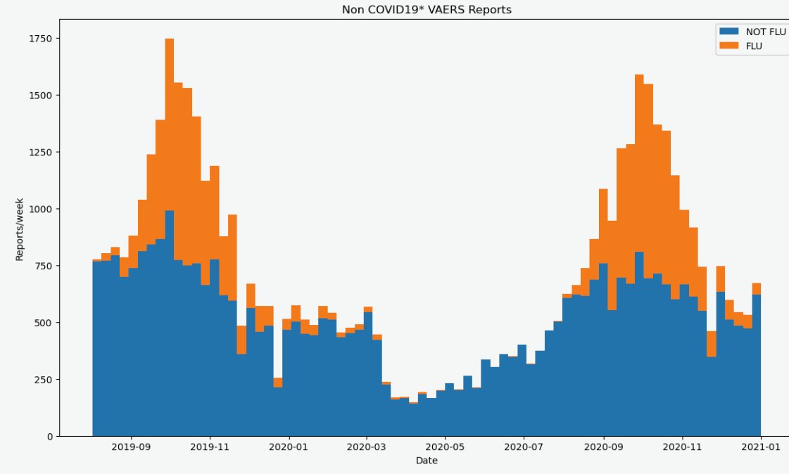 DrFlurmGooglybean tweet media