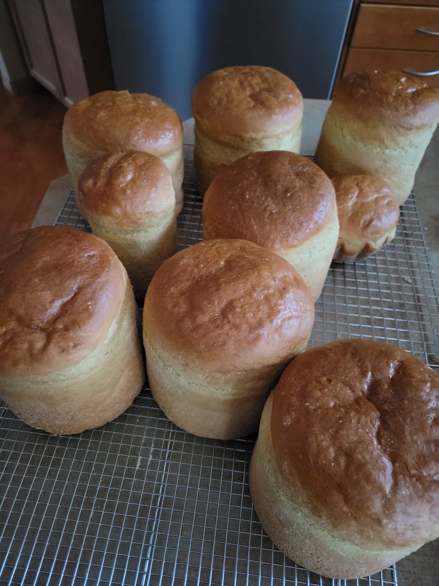 Iceman Fella 🇨🇦🇺🇦🏴󠁧󠁢󠁳󠁣󠁴󠁿 tweet media