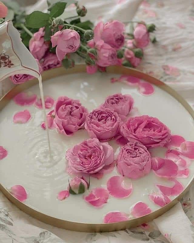 Leticia Ali tweet media