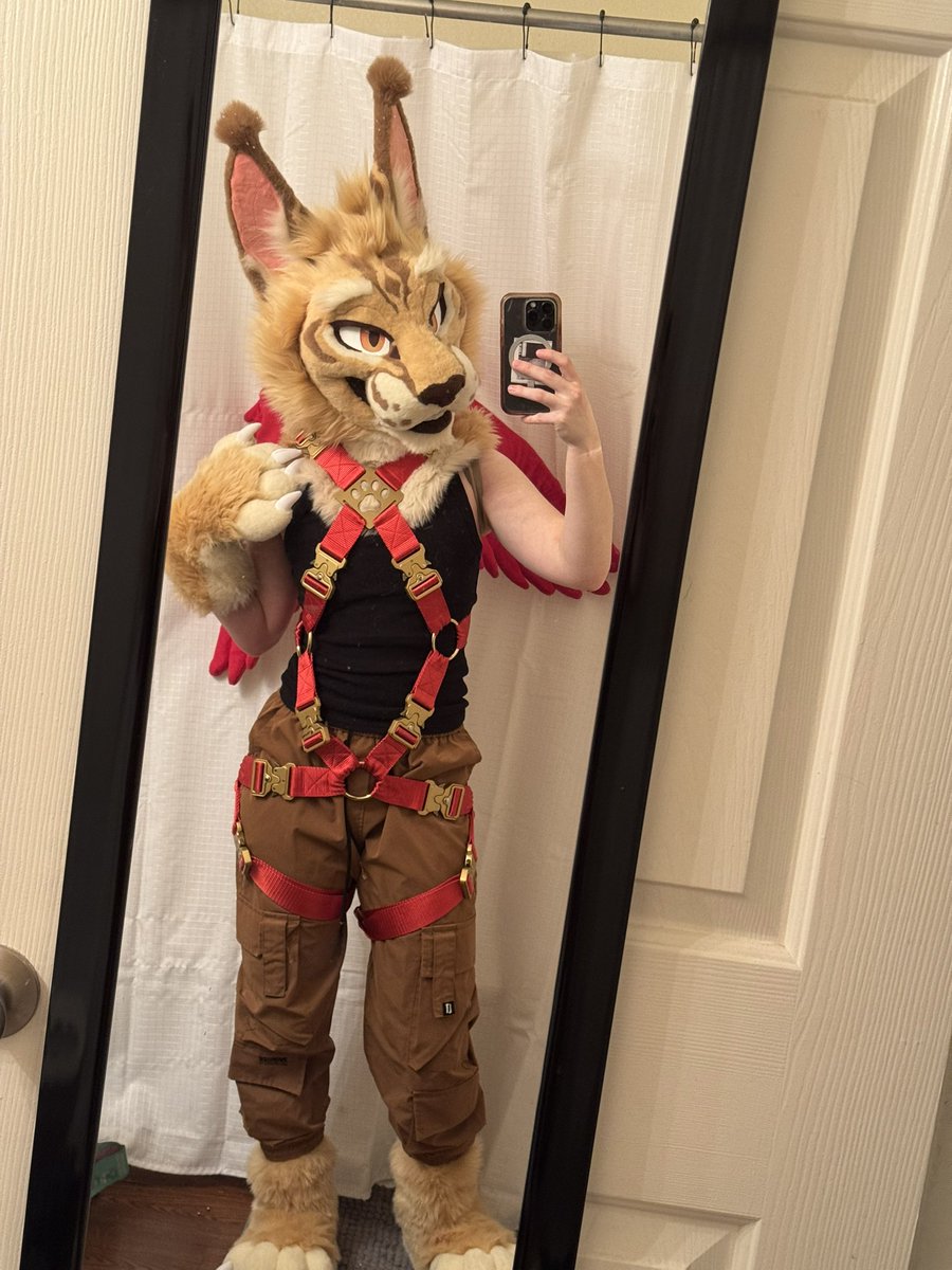 Kei ☼ 🔜TFF ‘26 tweet media