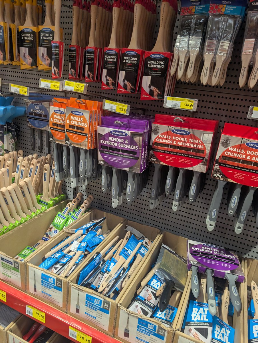 KandyMerr 🐾 (The Orange Oracle) tweet media