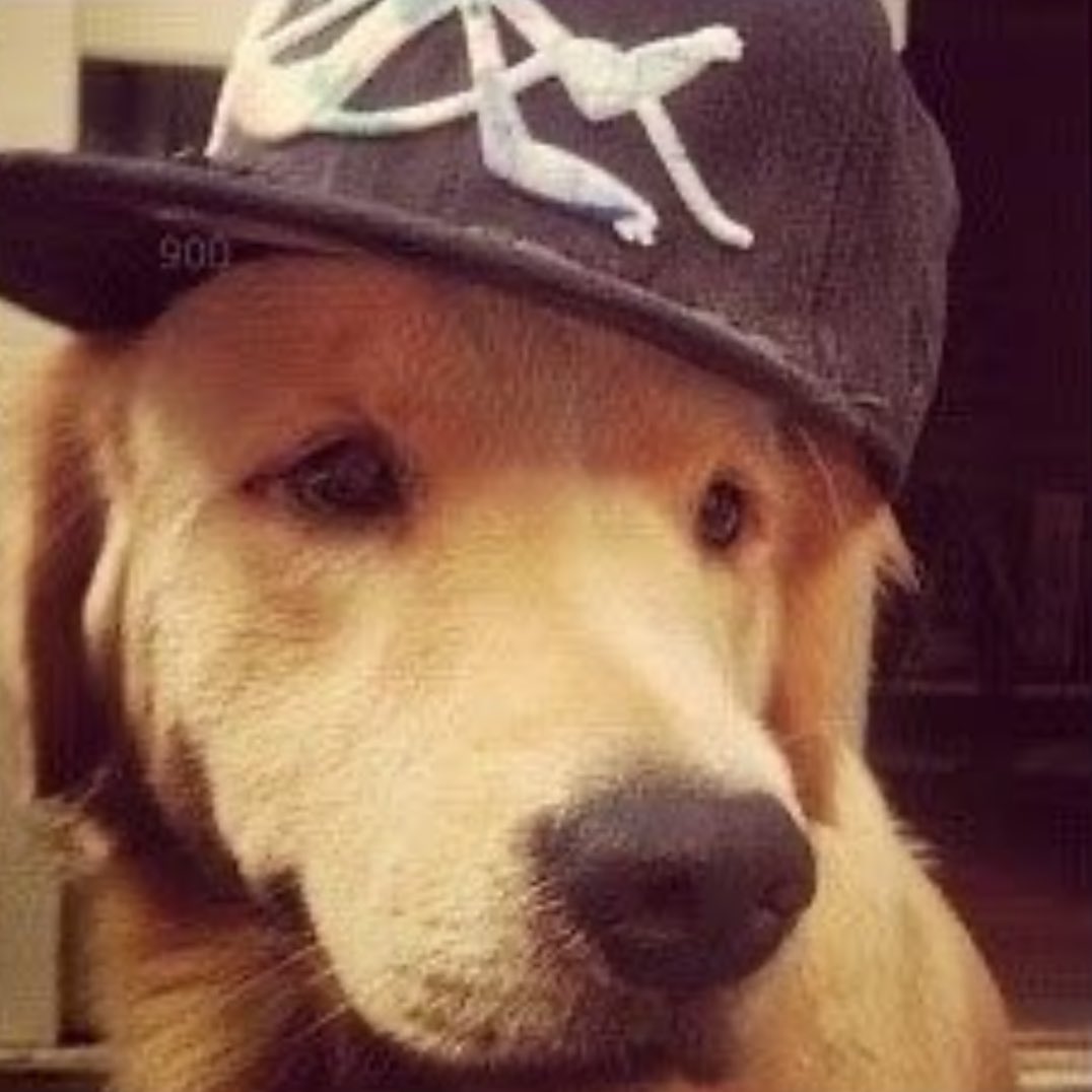 aali⋆♱ tweet media