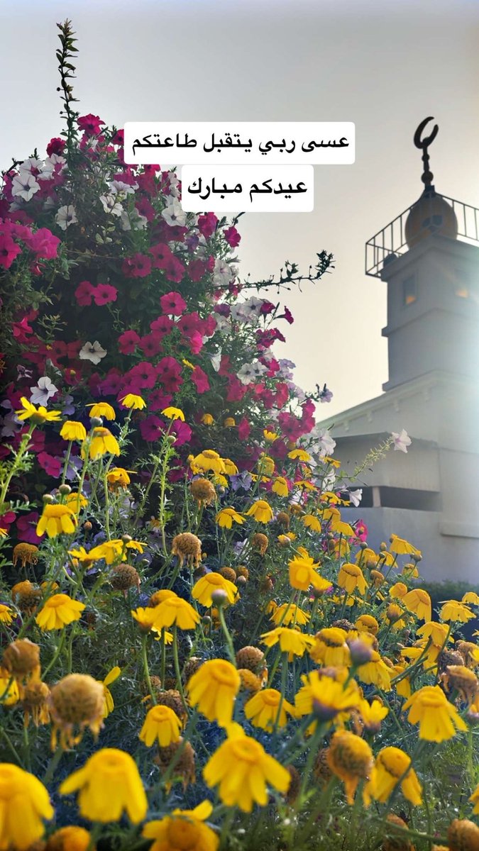 مزارع من الوفرة tweet media