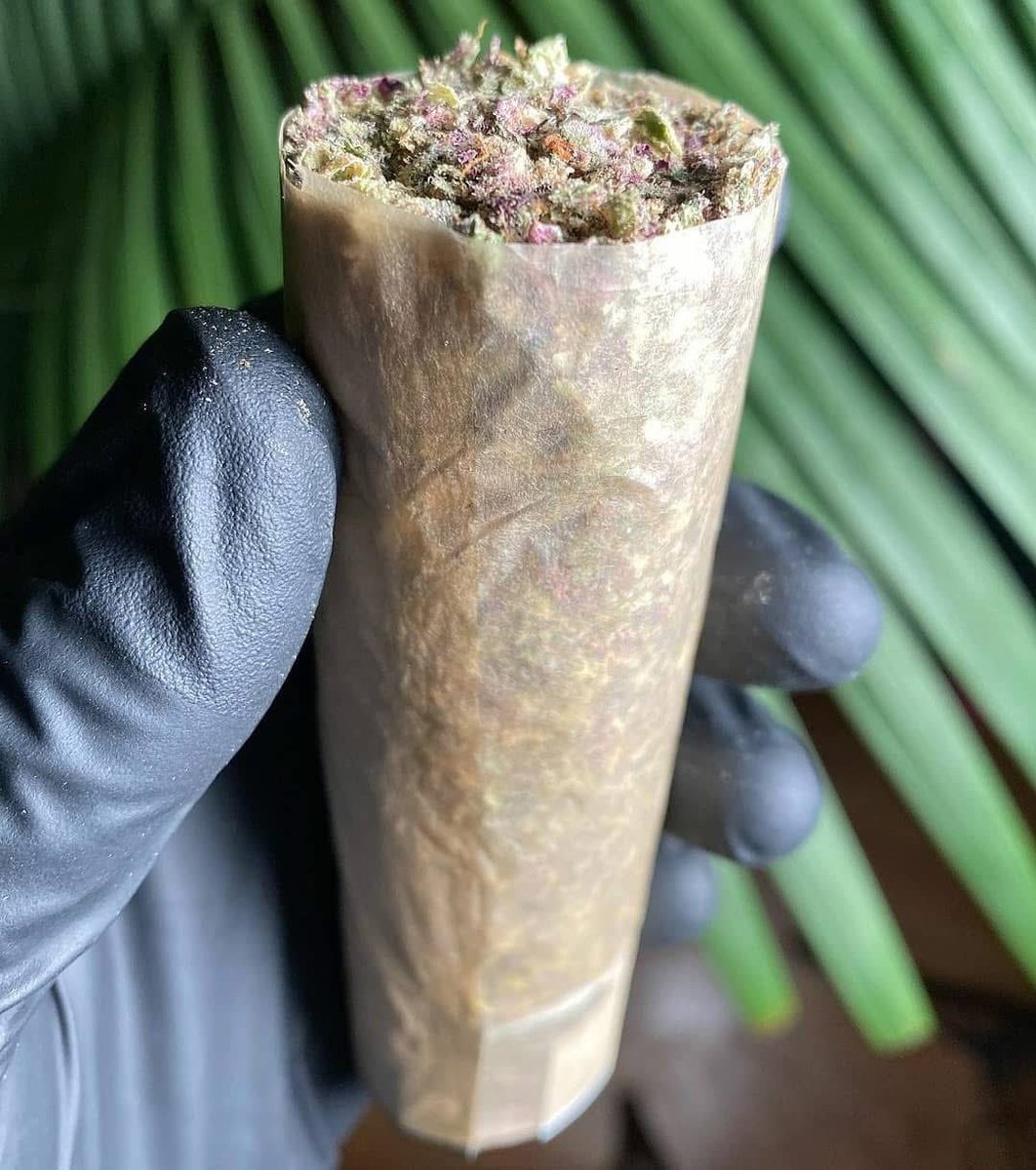 STONERS R US 🍃 tweet media