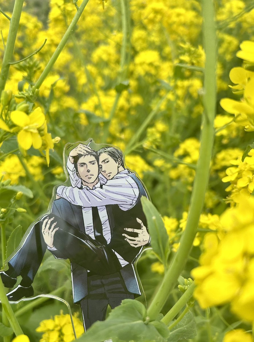 菜の花畑でつかまえて

        💛☺︎︎☺︎︎💛