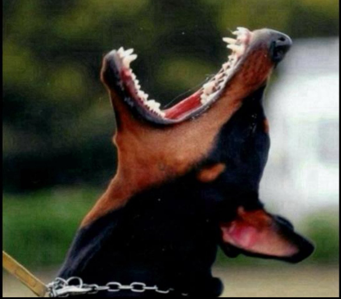 Joy⁷ 🇿🇼💜 tweet media