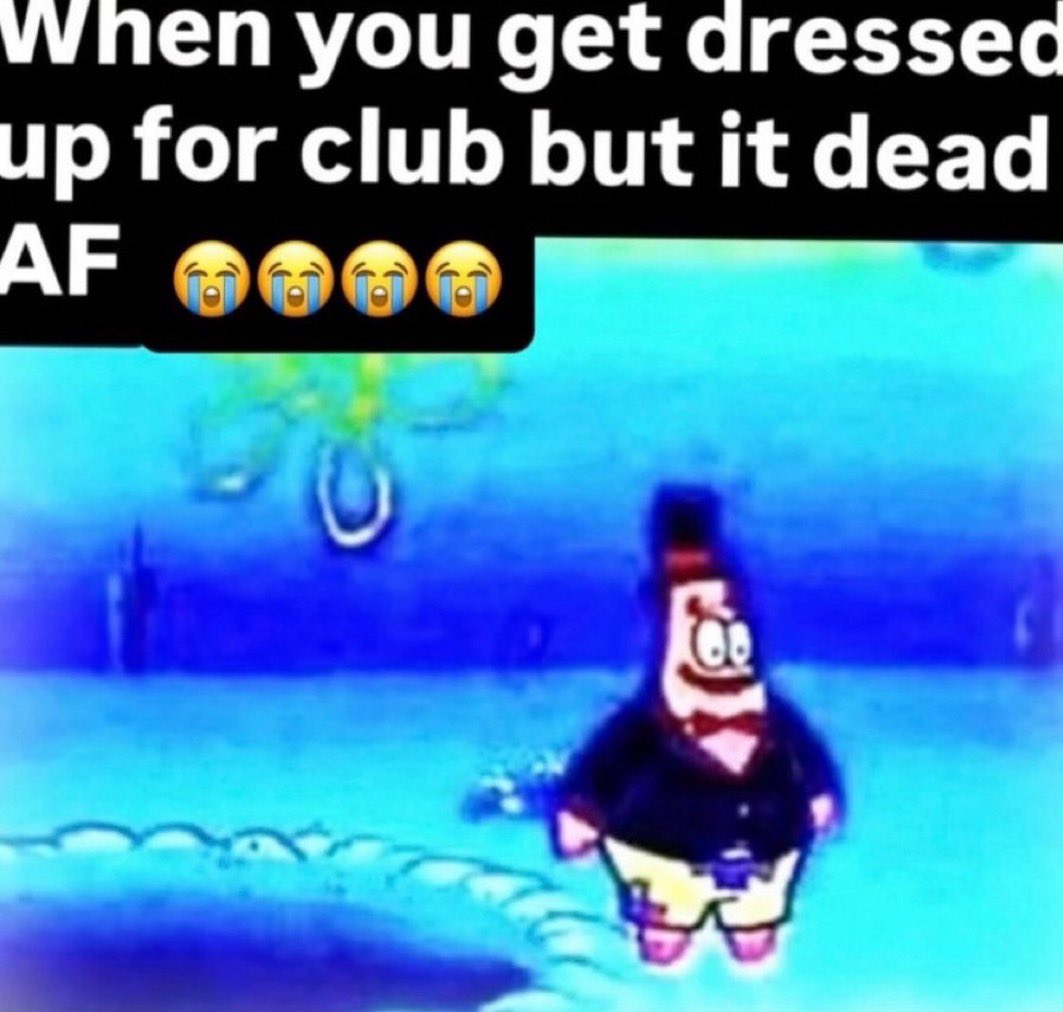 iss 💿 zig summer tweet media