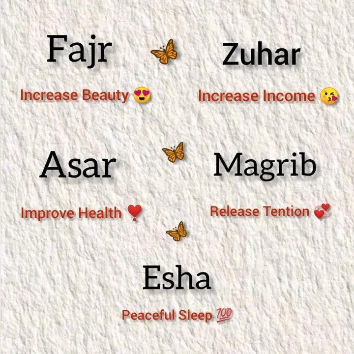 Fulani🦋🧕🏼 tweet media