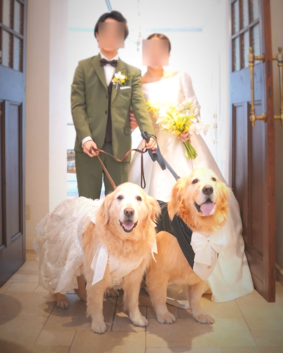 Lucy🌸 & Robin🍀 GR🐾 tweet media
