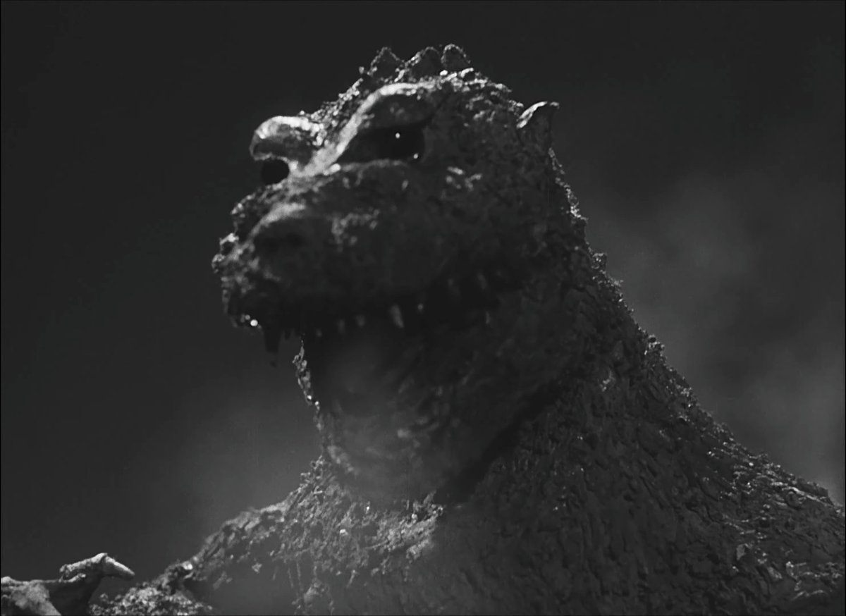 EvolvedGoji24 tweet media