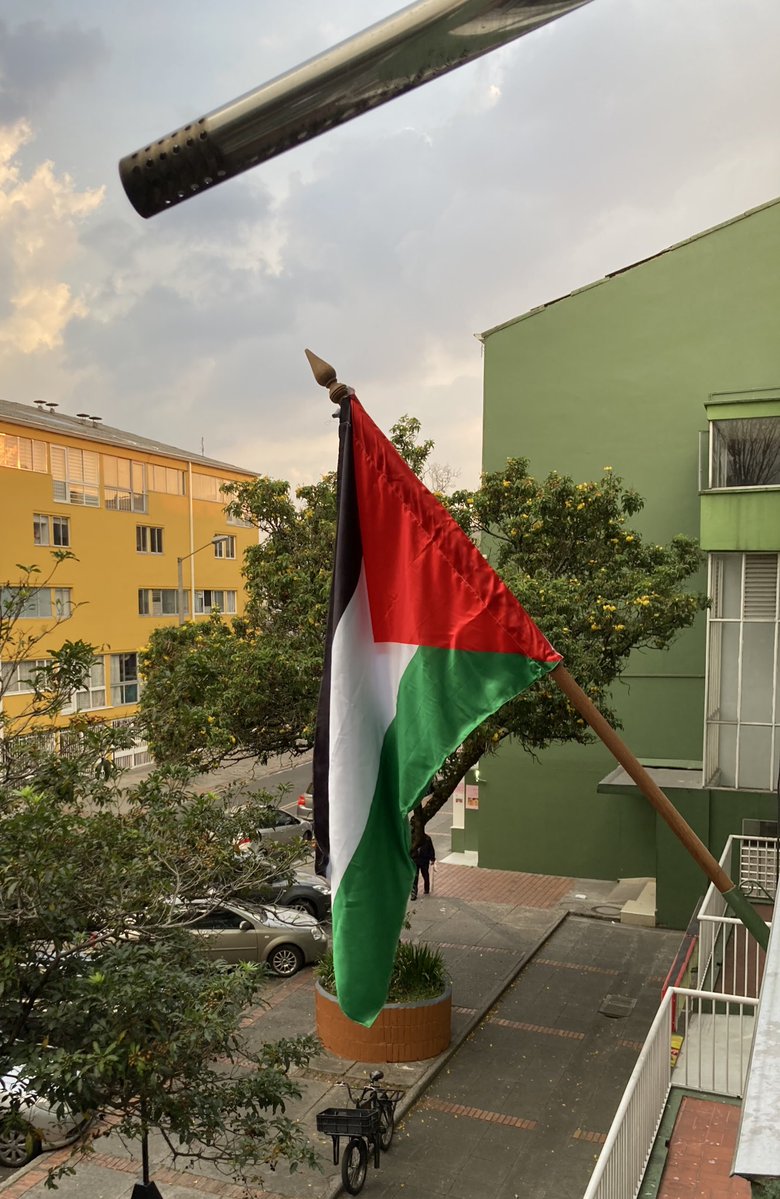 Mario Roberto tweet media