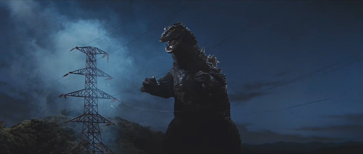 EvolvedGoji24 tweet media