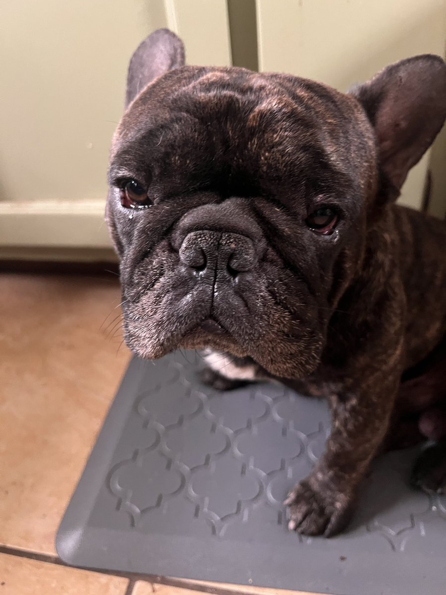 Texas Breakfast tweet media