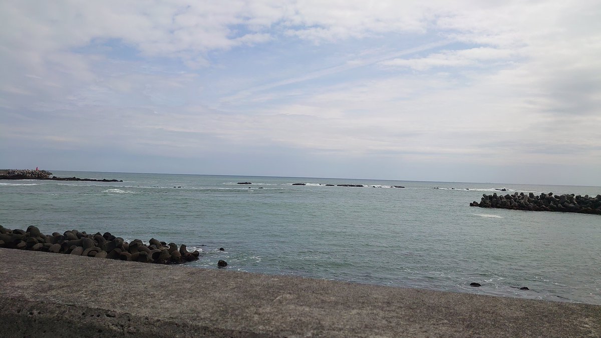 鮭ハラス tweet media