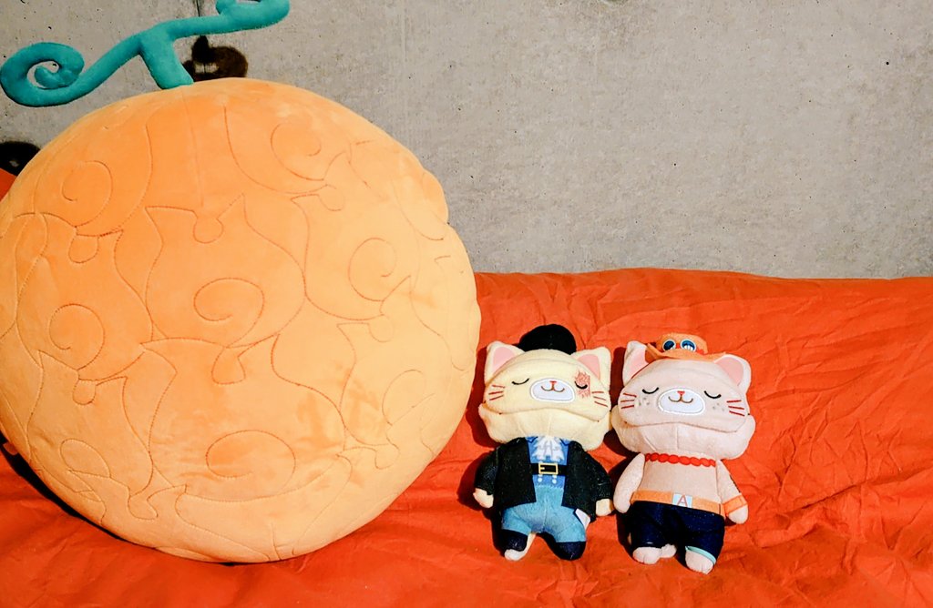 かぼちゃ屋🎃原稿中 tweet media