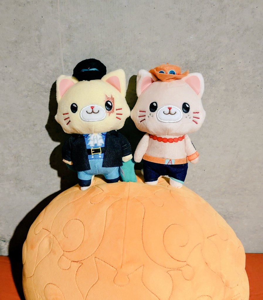 かぼちゃ屋🎃原稿中 tweet media