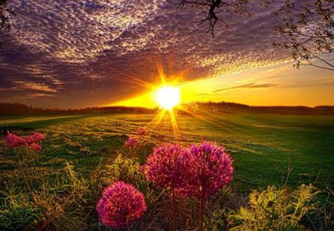 Sᴏᴜʀᴀν tweet media