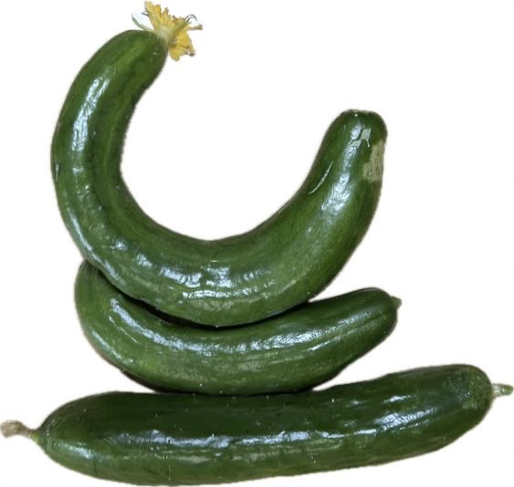 Funso🌹 tweet media