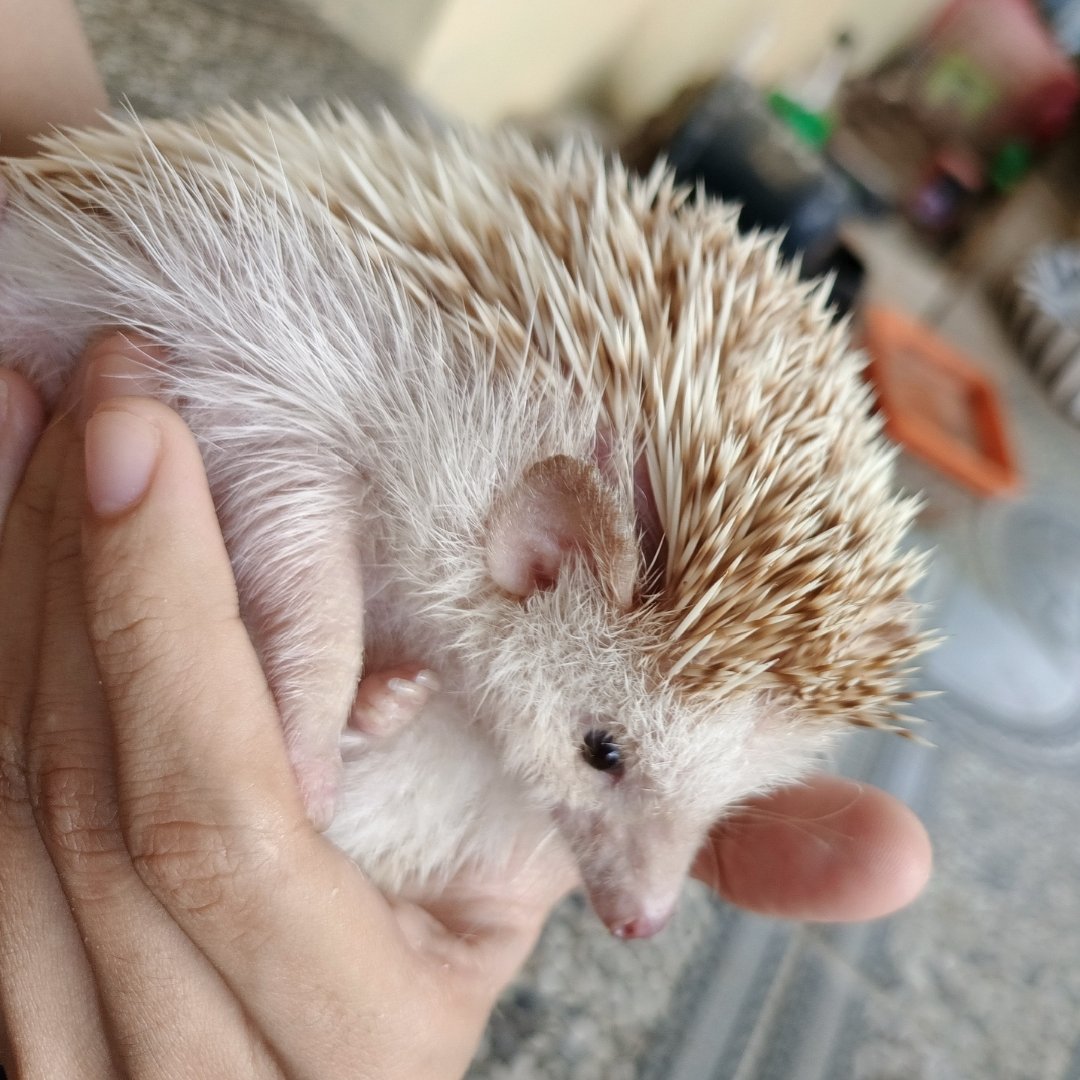 aliya ♂️ tweet media