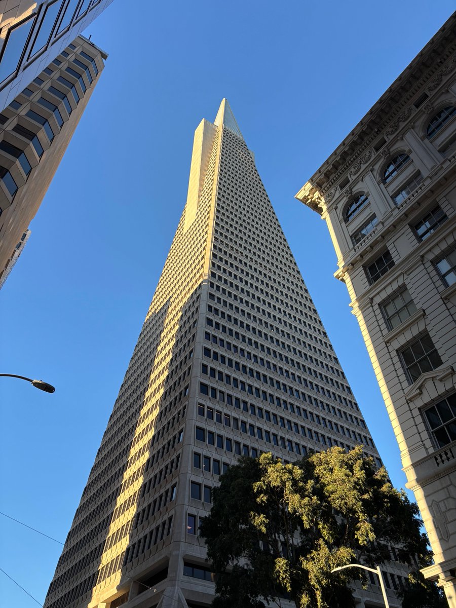 Julian Gay tweet media