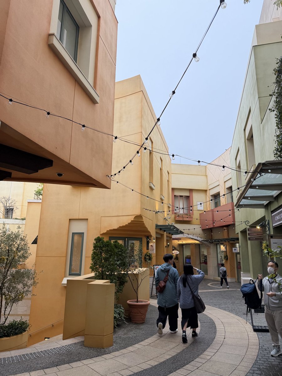 ハメドリアヌス tweet media