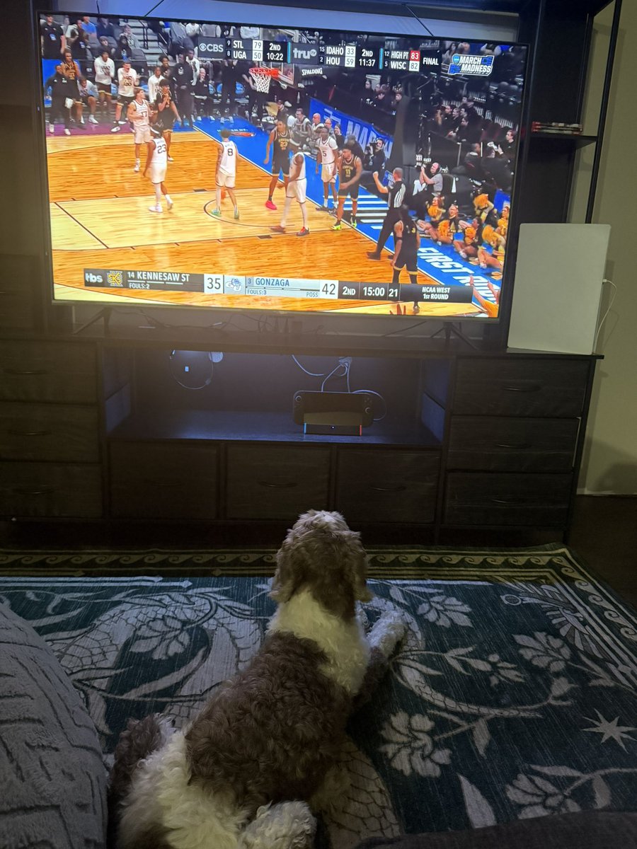 Rob Gardner tweet media