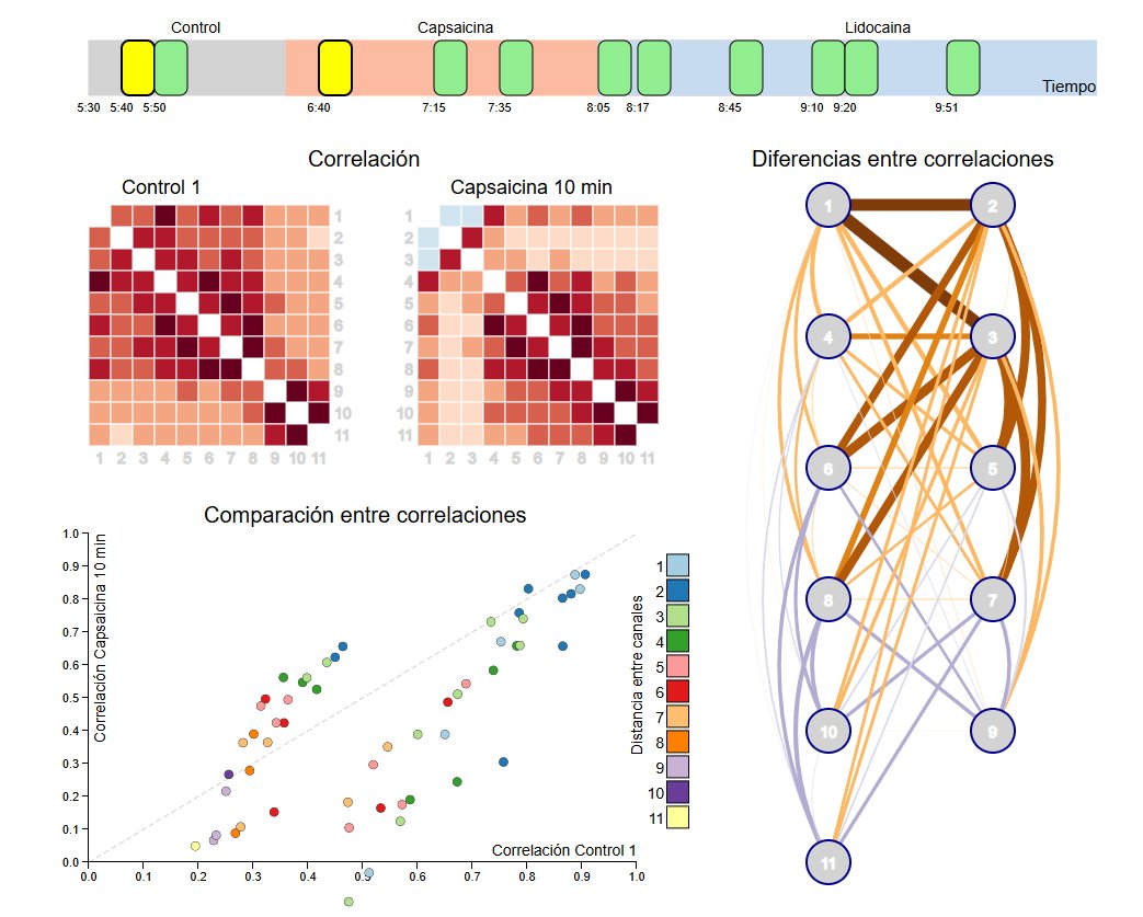 Irving MA tweet media