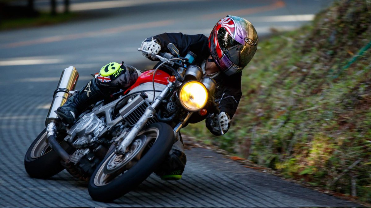 chinTiger tweet media