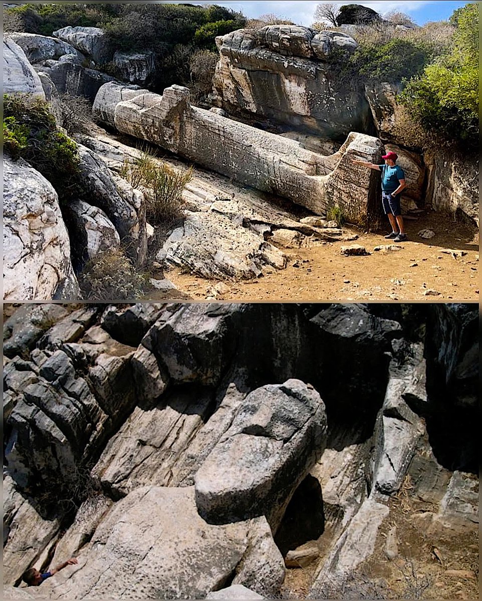 History Content tweet media