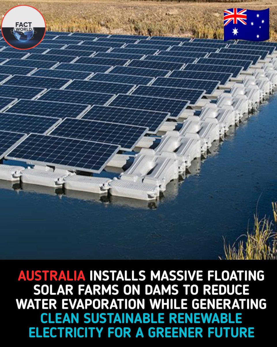 Edwin EPP🇨🇦 tweet media