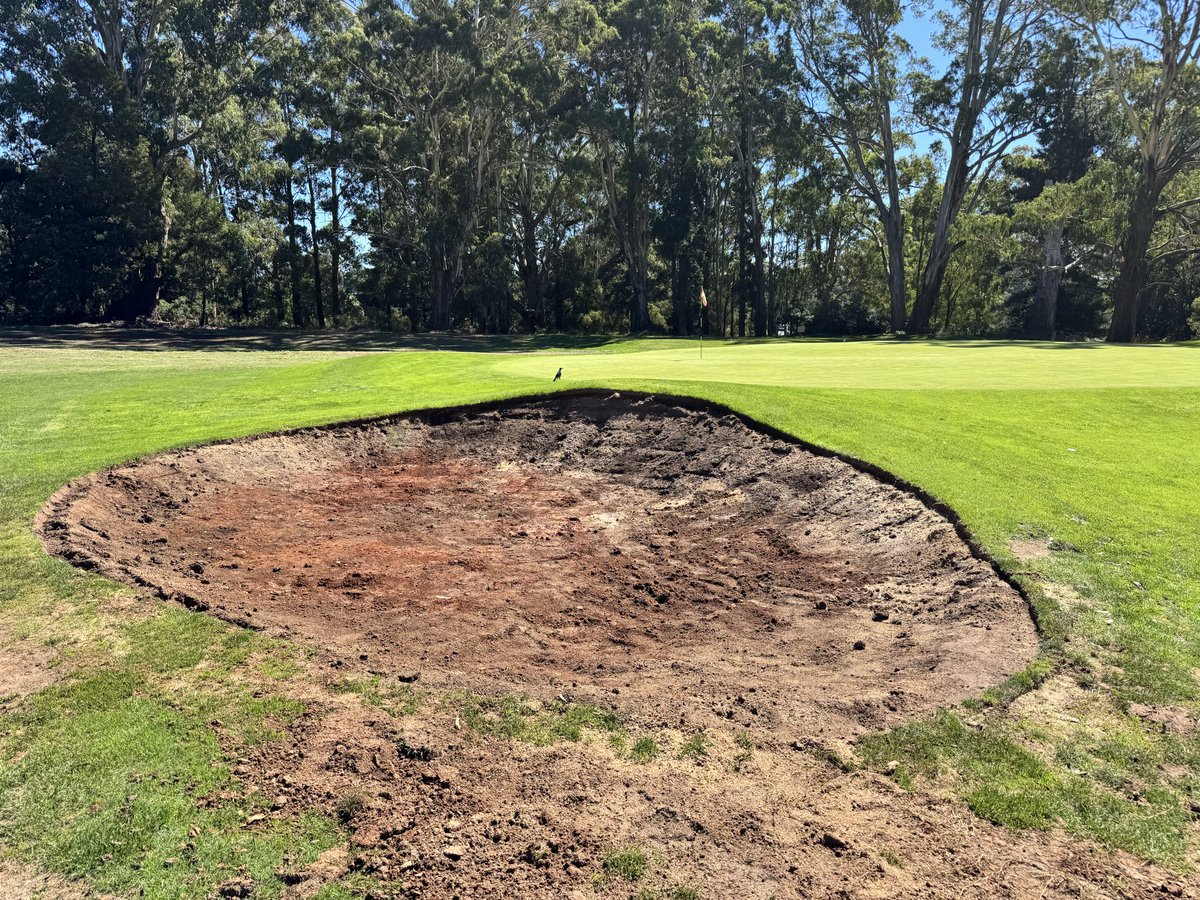 Trentham_GC's tweet photo. Reshaped bunkers on 9, 2, 8 and 13. Only 20 more to go https://t.co/XDBk3nqc58