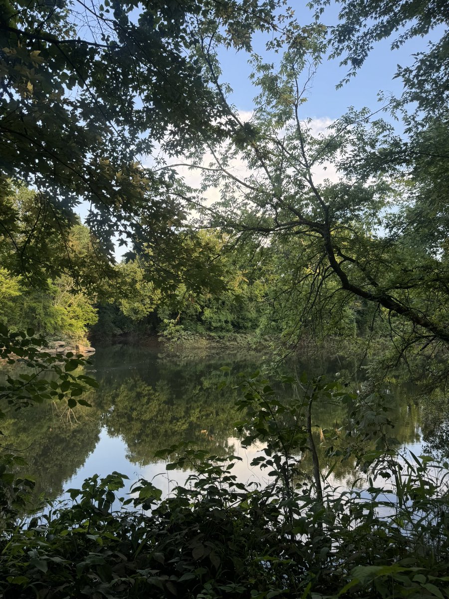 Ybg Dong tweet media