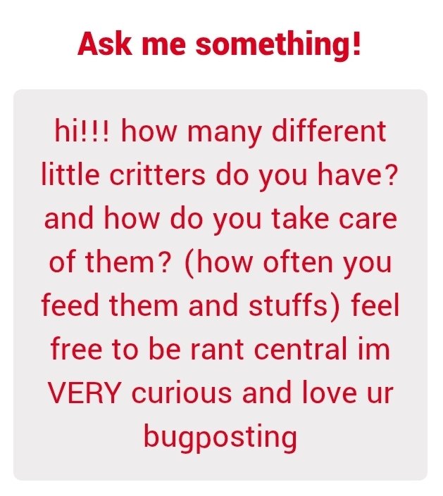 ⋆｡ﾟ☁︎ ruben / rylan ｡⋆｡ 🪲 ﾟ☾ ﾟ｡⋆ tweet media